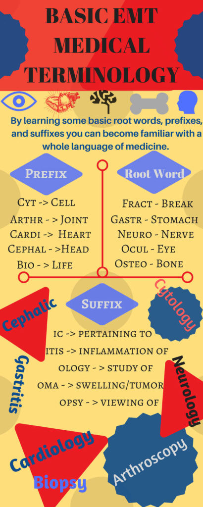 Emt Medical Terminology Worksheet
