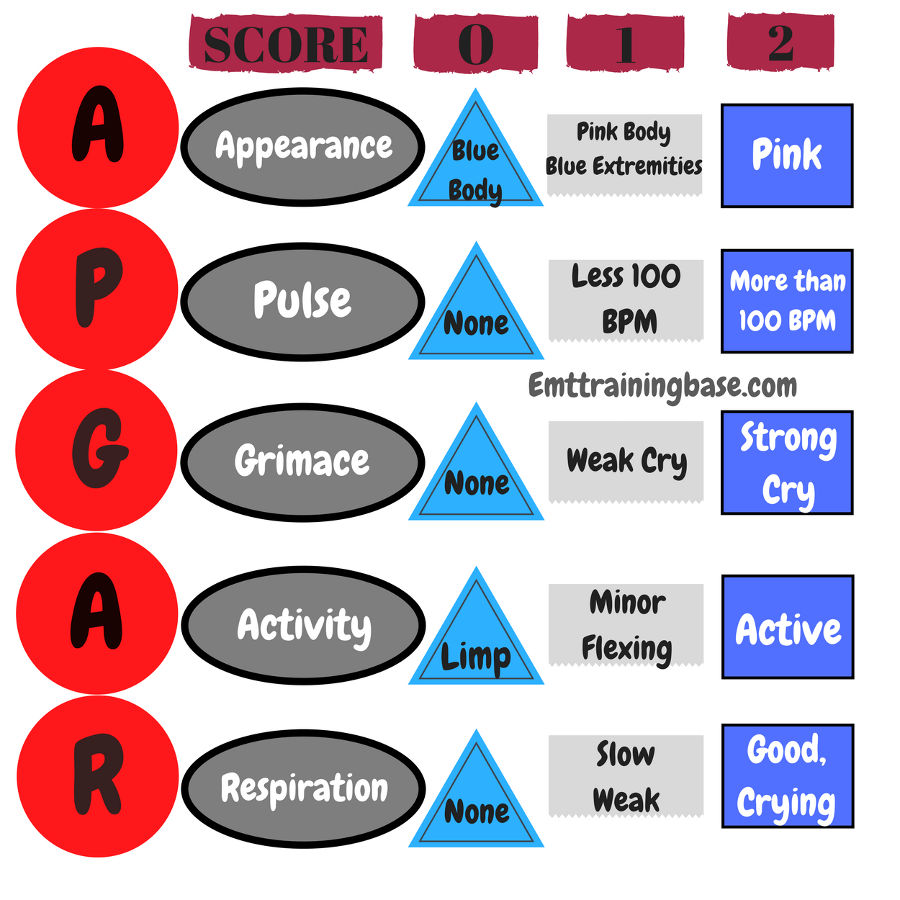 Apgar Scale